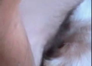 Finger blasting this tight animal asshole