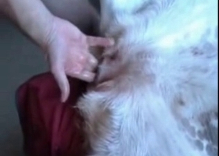 Finger blasting this tight animal asshole