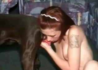 Twisted brunette fucking a hound