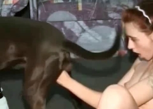 Twisted brunette fucking a hound