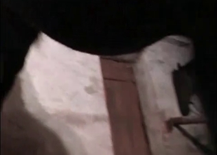 Slit fucked by a big-dicked mare