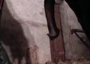 Slit fucked by a big-dicked mare