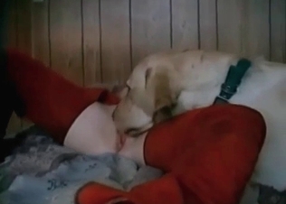 Crazy hot sex with a puppy