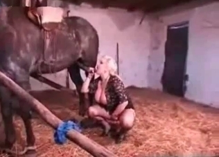 Fishnet slut ravaged by a horse