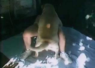 Dog fucking this perfect girl