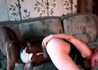 Kissing with a hot, steamy dog