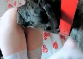 Slut in a mask banging a dog