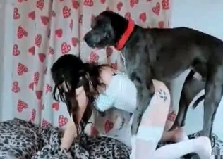 Slut in a mask banging a dog