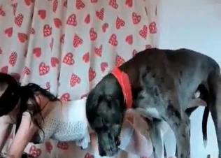 Slut in a mask banging a dog