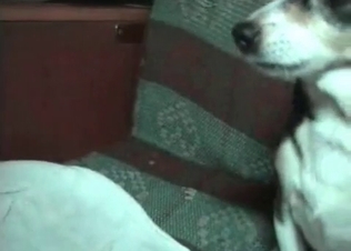 You can cum on that puppy