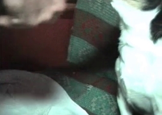 You can cum on that puppy