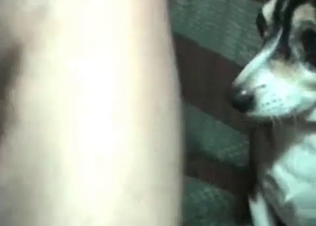 You can cum on that puppy