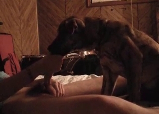 Horny puppy railed