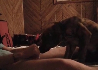 Horny puppy railed