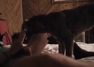 Horny puppy railed