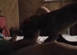 Horny puppy railed