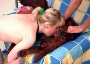 Sleeping dog woken up by a BJ