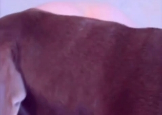 British hunter fucking its owner