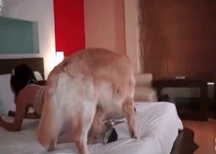 Tight slit licked by a dog