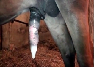 Hooker railed by a hot pony