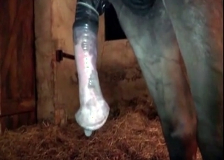 Hooker railed by a hot pony