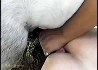Horse cock gripped really tight