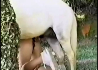 Horse cock gripped really tight