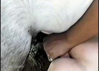 Horse cock gripped really tight
