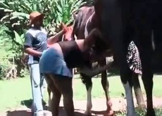 Dirty bitches fucking two horses
