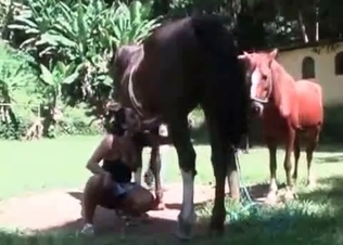 Dirty bitches fucking two horses