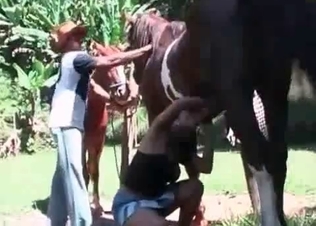 Dirty bitches fucking two horses