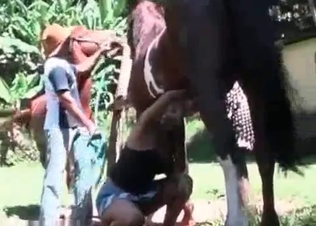 Dirty bitches fucking two horses