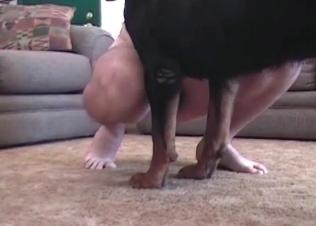 Dog fucks real good