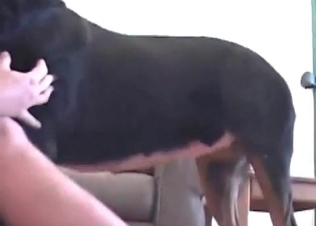 Dog fucks real good