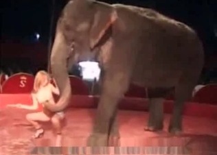 Nude blonde and an elephant