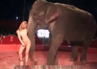 Nude blonde and an elephant