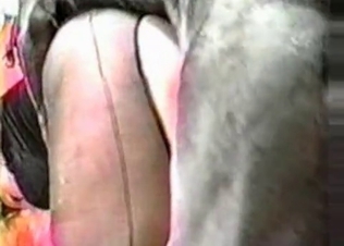Tight pussy fucked by a Doberman