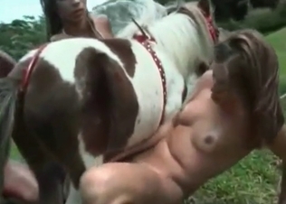 Three ladies railed by a horse