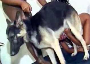 Dog cock being sucked by this girl