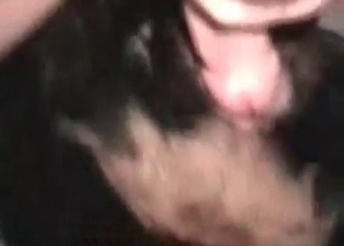 Hoy stud fucking this amazing dog