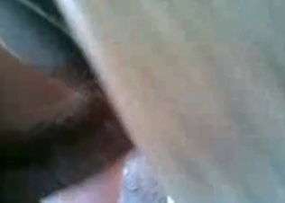 Horse being railed I nits asshole