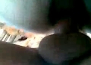 Horse being railed I nits asshole