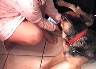 Owner fucking its dog
