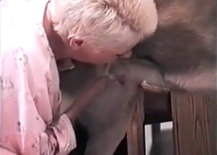 Owner fucking its dog