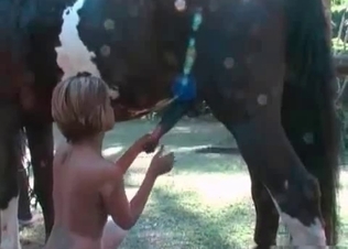 Horse blowjob for a chick