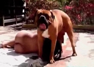 Dog drills a hot girl