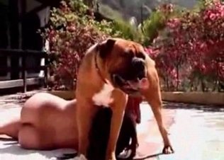 Dog drills a hot girl