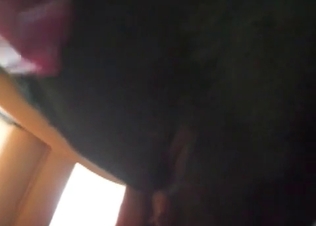 Zoo sex with a horny slut