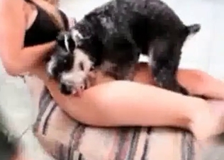 Mutt licking that juicy tight pussy