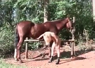 Sexy horse seduced by her undressing.